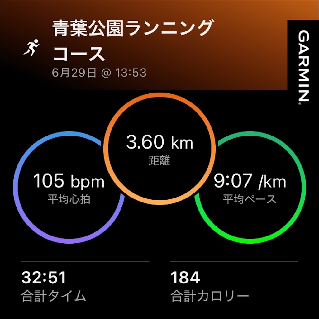 f:id:minomushi0713:20260630025450j:image