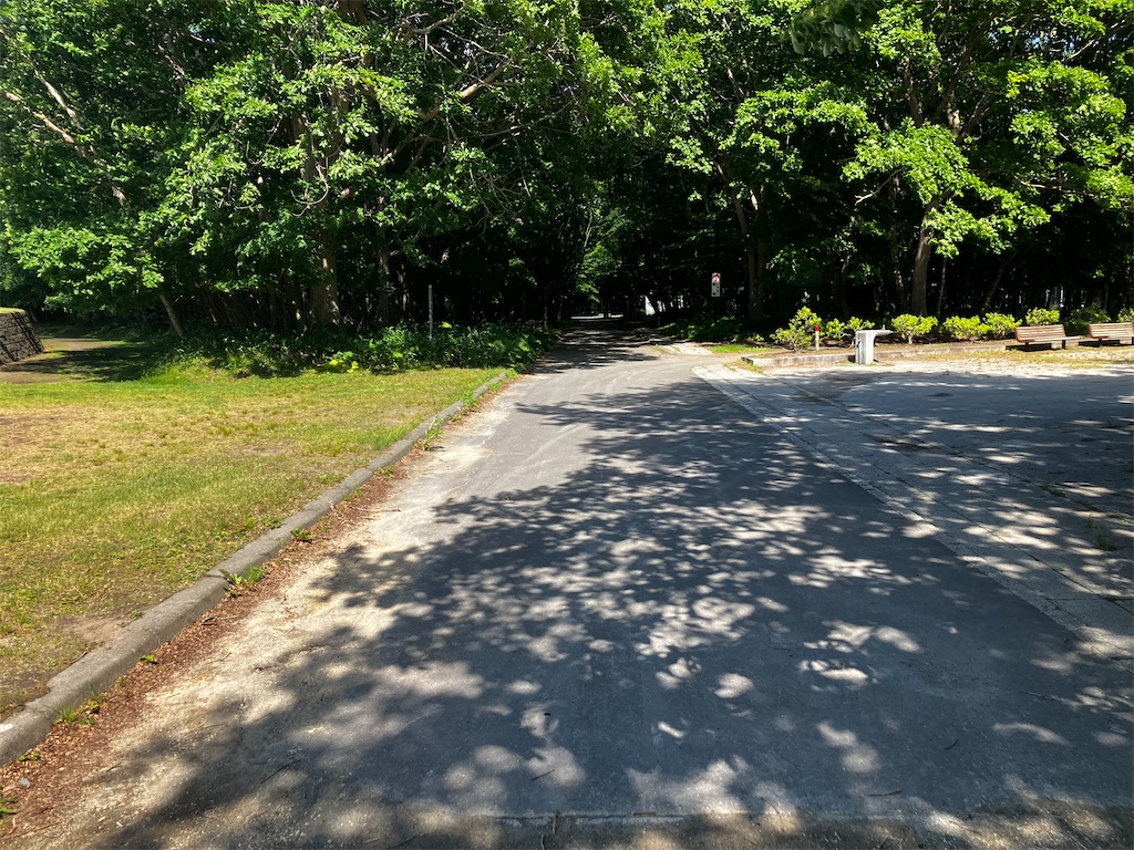 f:id:minomushi0713:20260630033907j:image