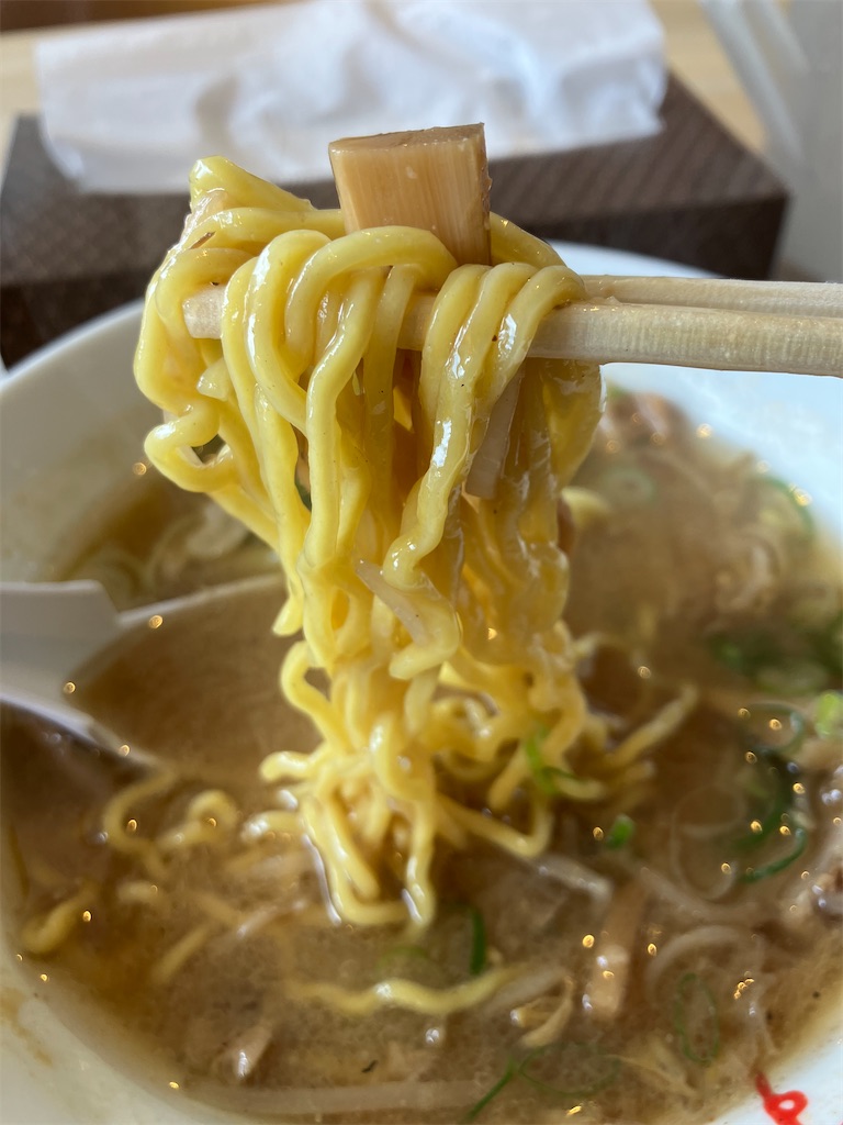 f:id:minomushi0713:20260630151903j:image