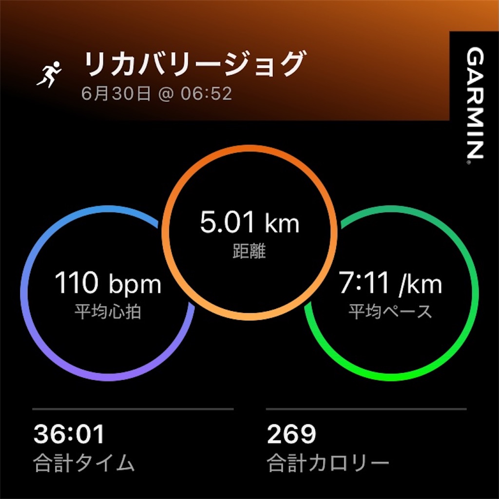 f:id:minomushi0713:20260701074643j:image