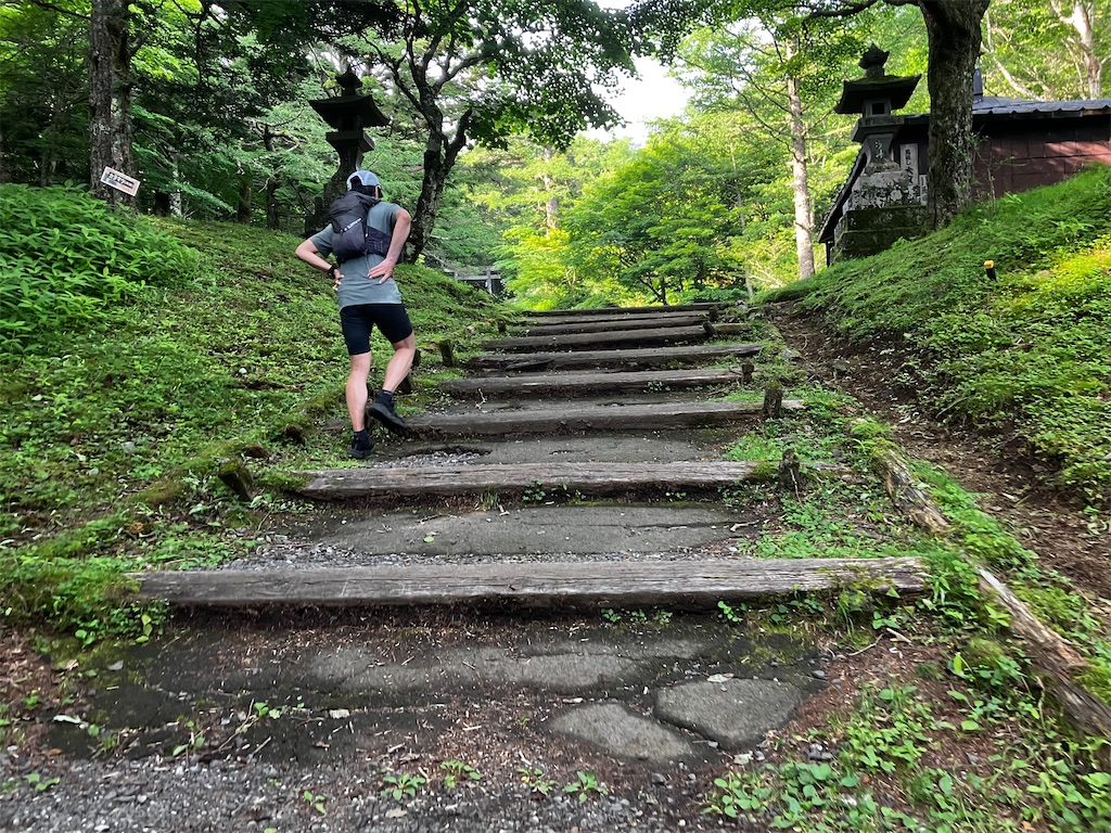 f:id:minomushi0713:20260712062840j:image