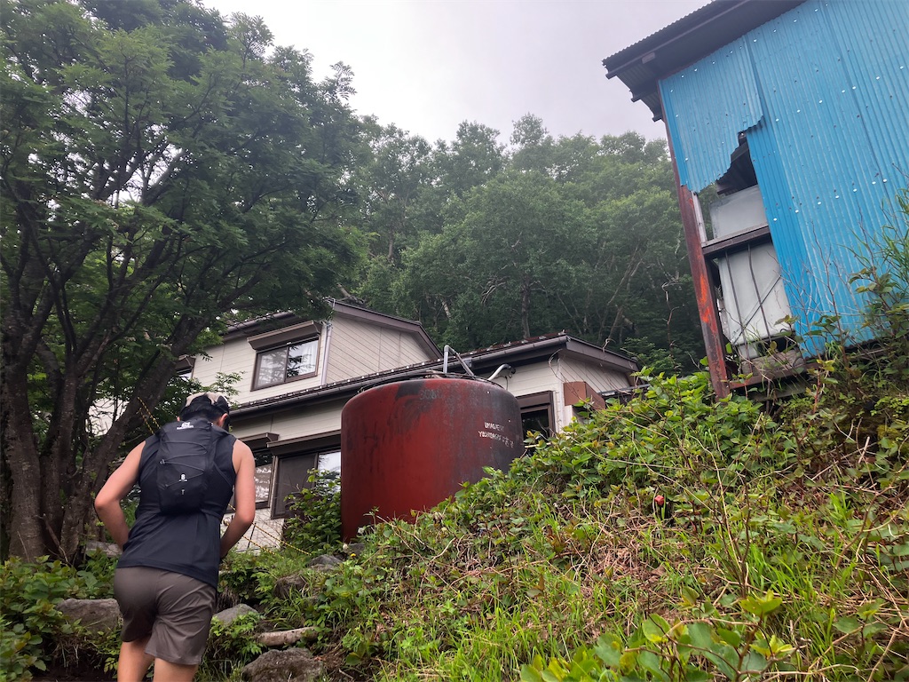 f:id:minomushi0713:20260712063134j:image