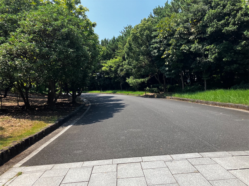 f:id:minomushi0713:20260803034549j:image