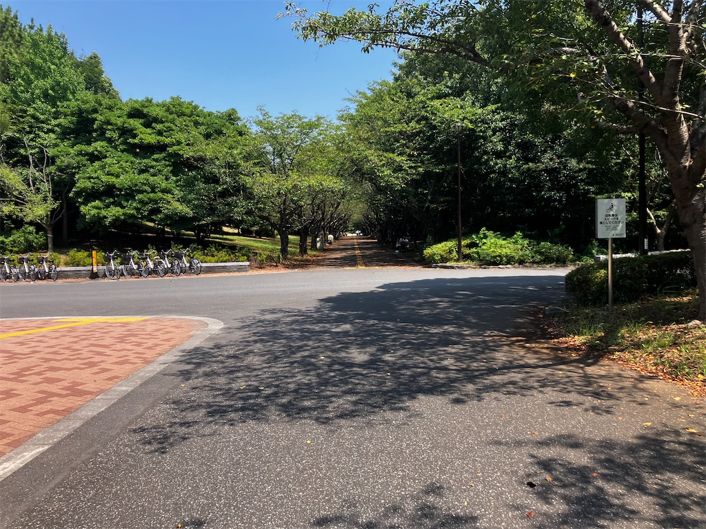 f:id:minomushi0713:20260803035448j:image