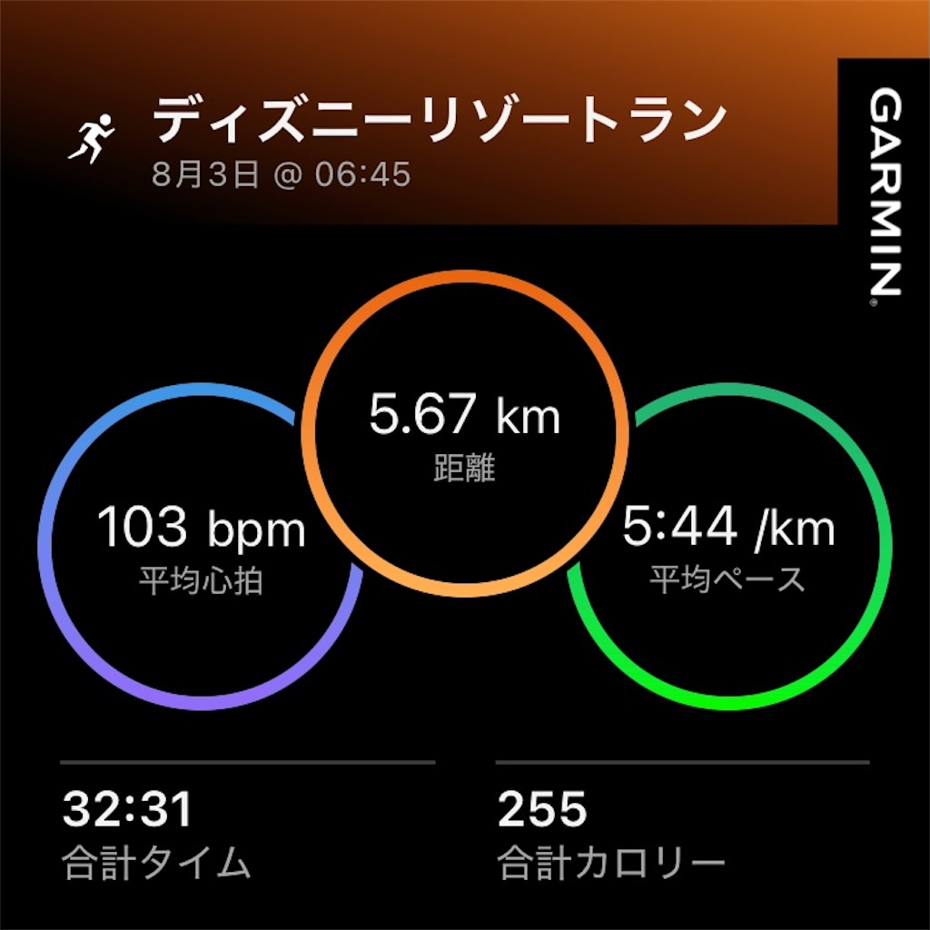 f:id:minomushi0713:20260804072035j:image