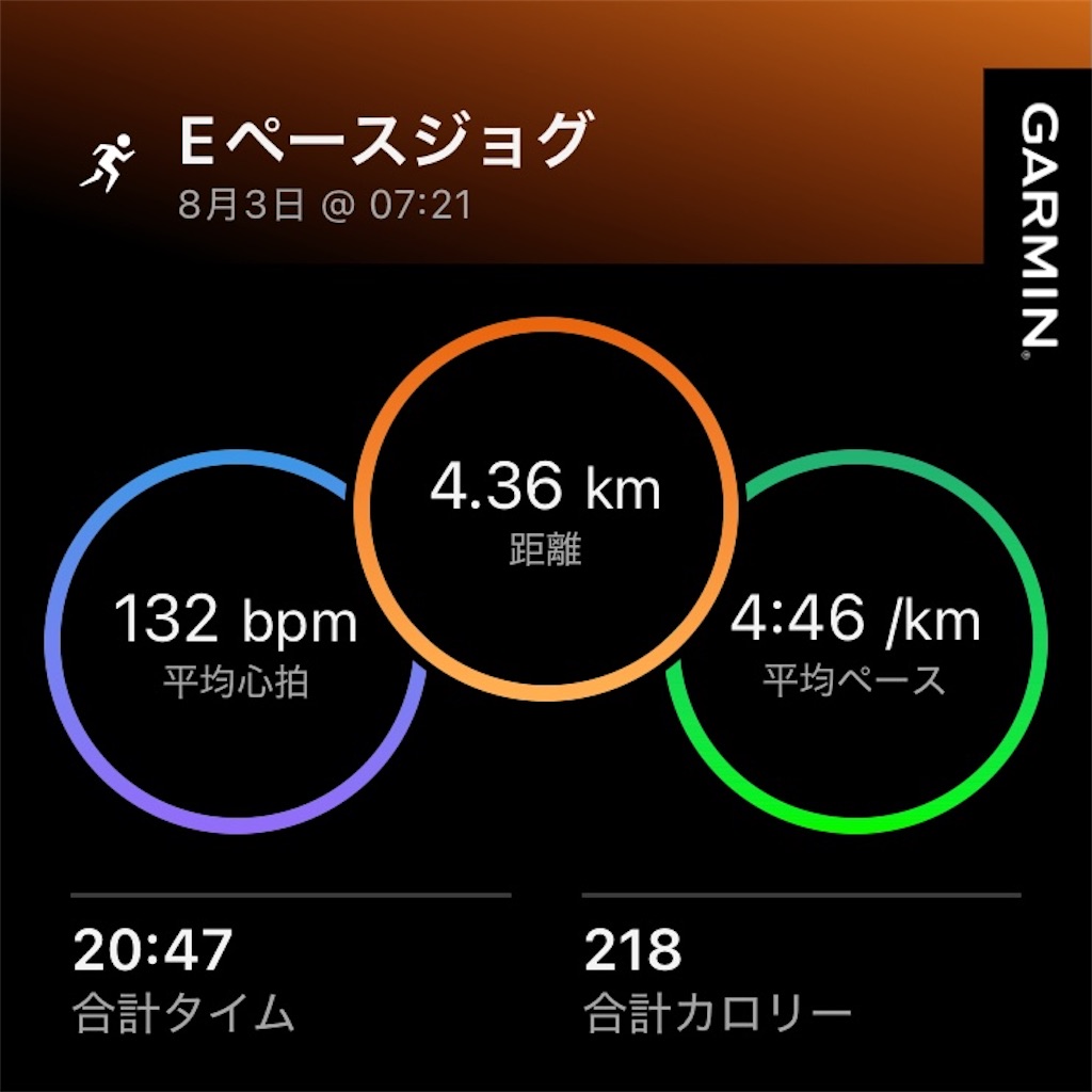 f:id:minomushi0713:20260804072042j:image