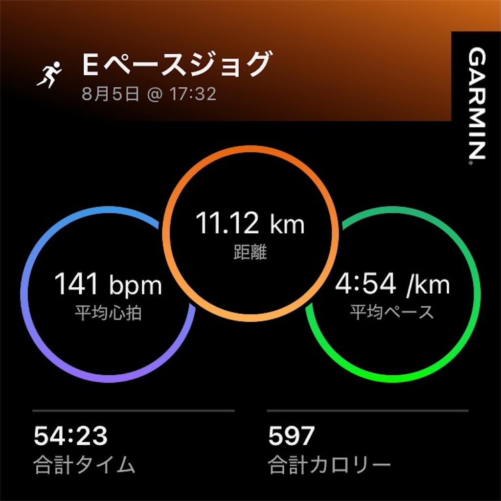 f:id:minomushi0713:20260806074826j:image