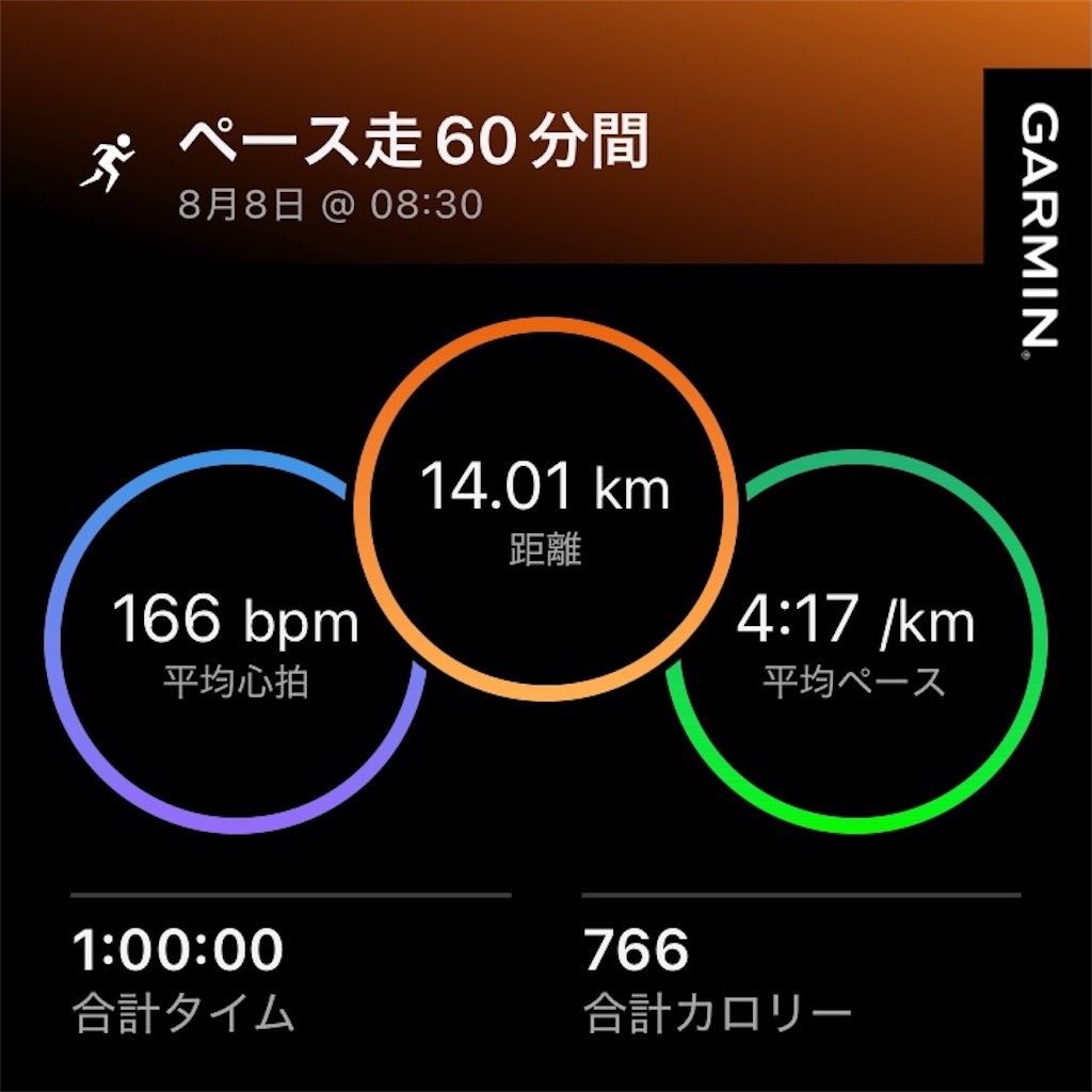 f:id:minomushi0713:20260809070338j:image