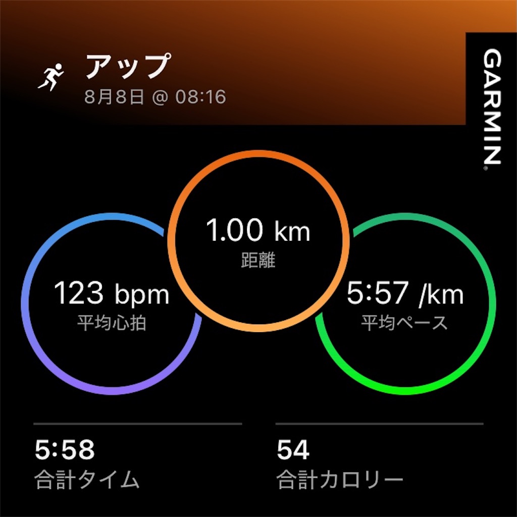 f:id:minomushi0713:20260809070341j:image
