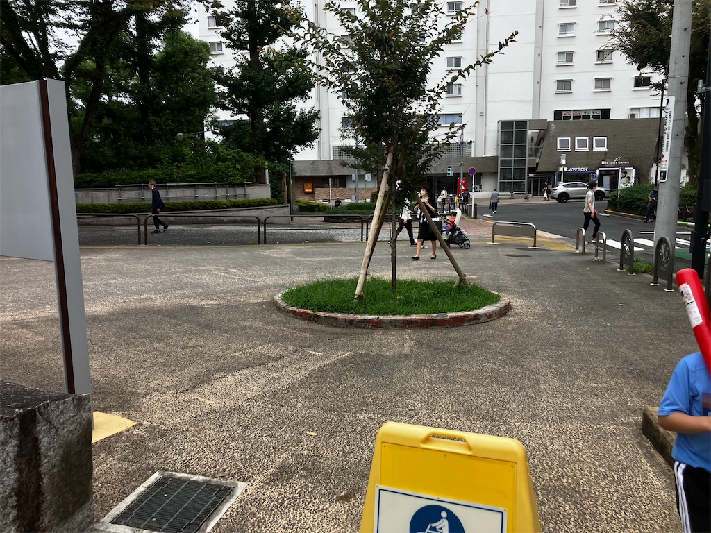 f:id:minomushi0713:20260927184130j:image