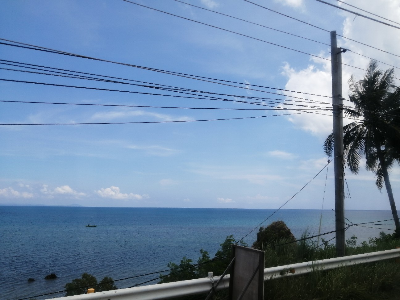 f:id:minori-nkmr:20260301203135j:image