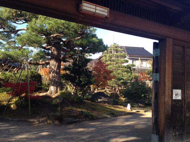 f:id:minori2011:20141125235553j:image:w640