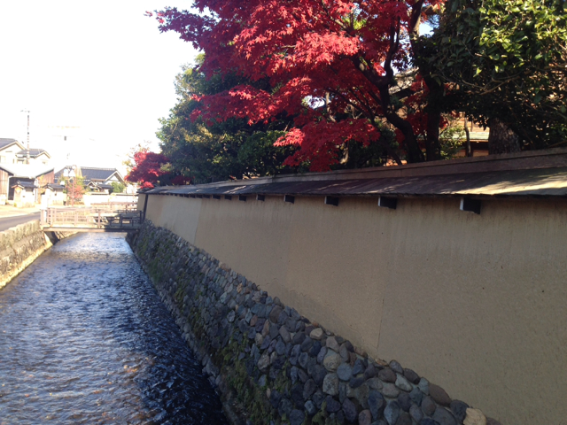 f:id:minori2011:20141125235610j:image:w640