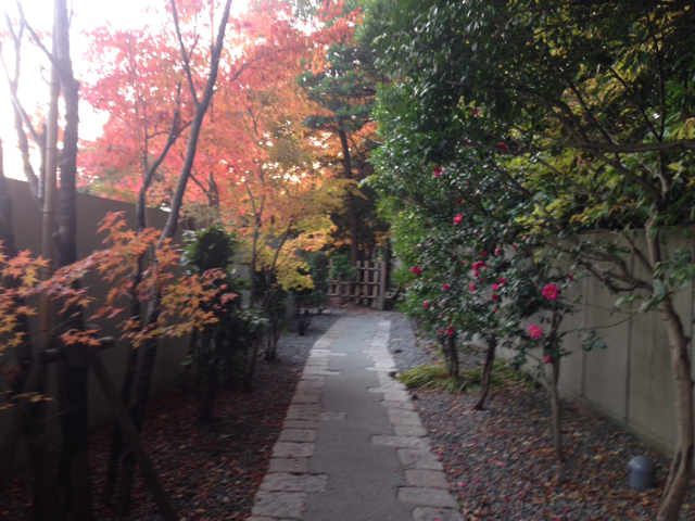f:id:minori2011:20141125235919j:image:w640