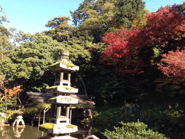 f:id:minori2011:20141126000129j:image:w640