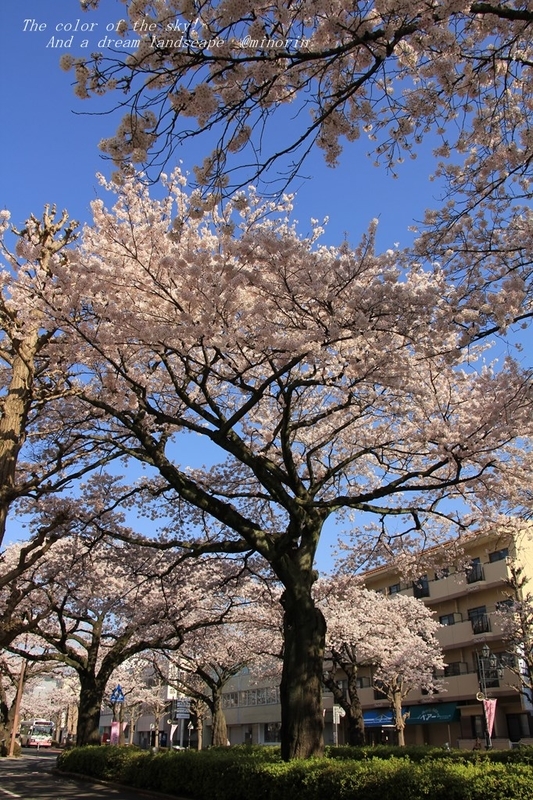 イメージ 2