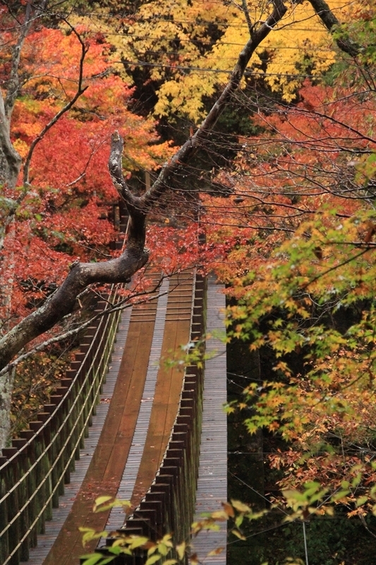 花貫渓谷 汐見滝吊り橋の赤い色 徒然草 花貫渓谷 汐見滝吊り橋の赤い色 徒然草