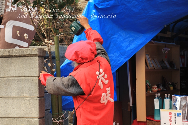 イメージ 11