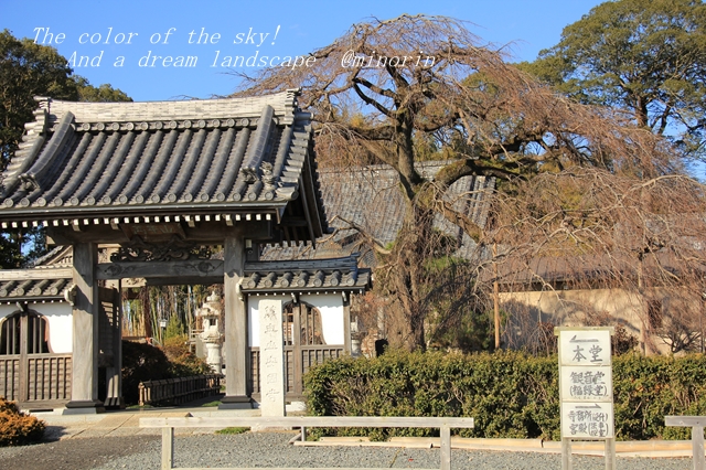 f:id:minorinnminorinn:20191226035813j:plain