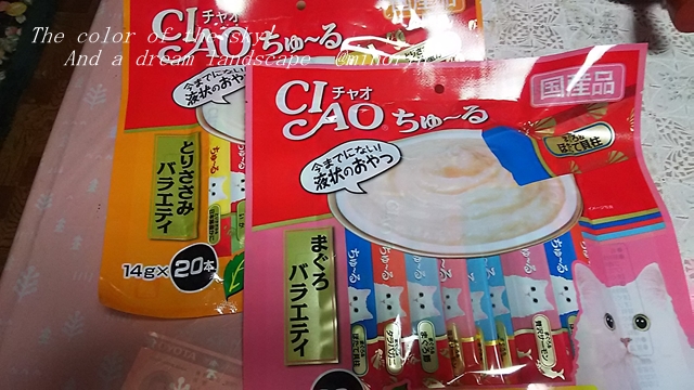 f:id:minorinnminorinn:20191229150131j:plain f:id:minorinnminorinn:20191229150131j:plain