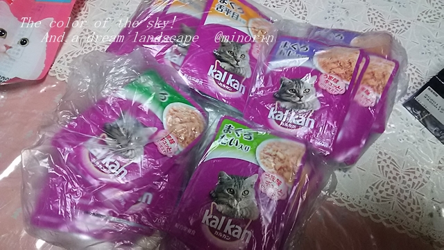 f:id:minorinnminorinn:20191229150137j:plain f:id:minorinnminorinn:20191229150137j:plain