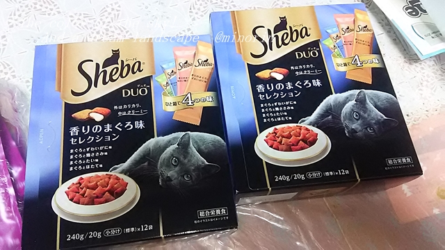 f:id:minorinnminorinn:20191229150143j:plain f:id:minorinnminorinn:20191229150143j:plain
