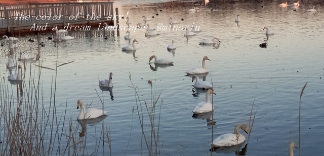 f:id:minorinnminorinn:20220213080517j:plain