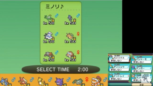 サイクルルカリオ構築の組み方 ポイントメモ ミノリぽけ のメモリーカード