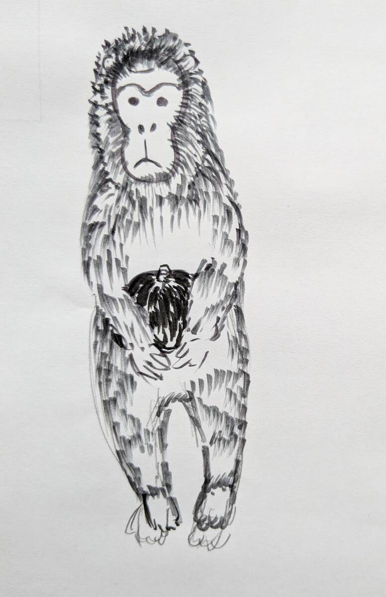 かんたん】サルの描き方～かぼちゃを盗むサル【クレパス18分