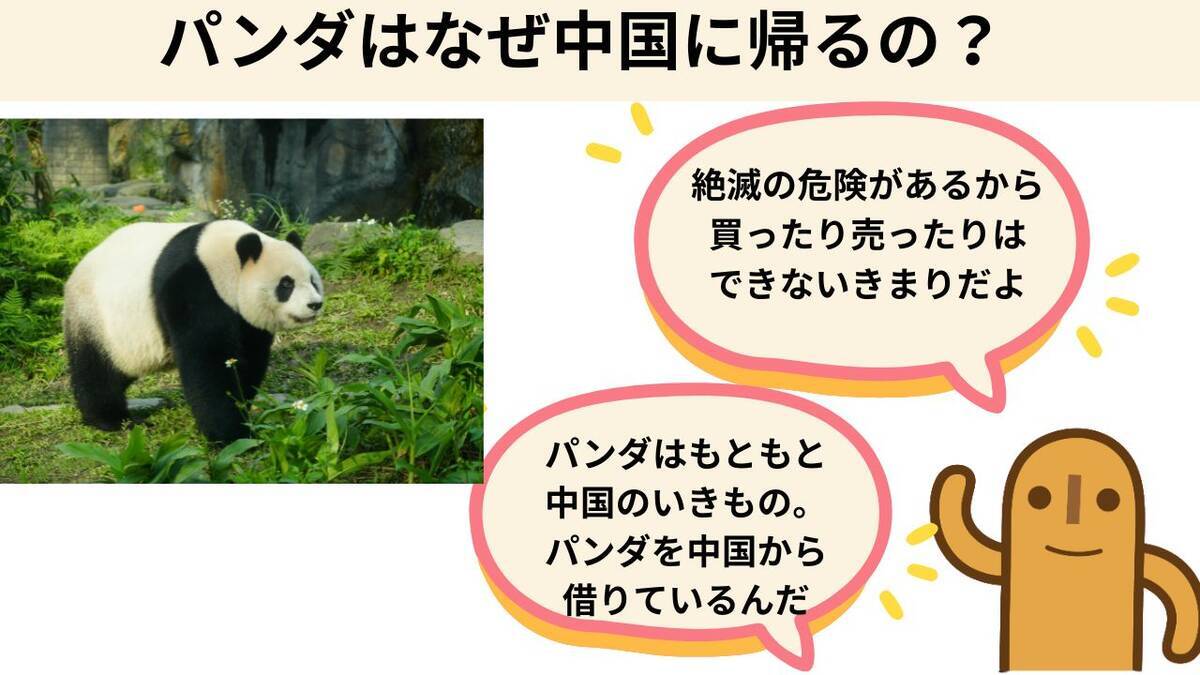 パンダはなぜ中国に返還されるのか