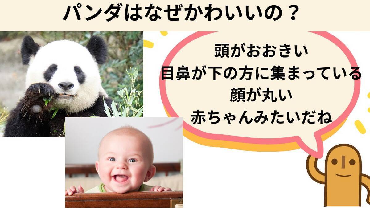 パンダはなぜかわいいのか