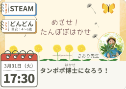 オンラインレッスン　ハイファイ