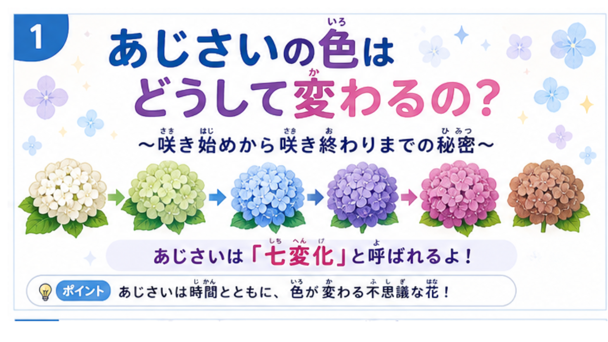 あじさいの色の変化の秘密