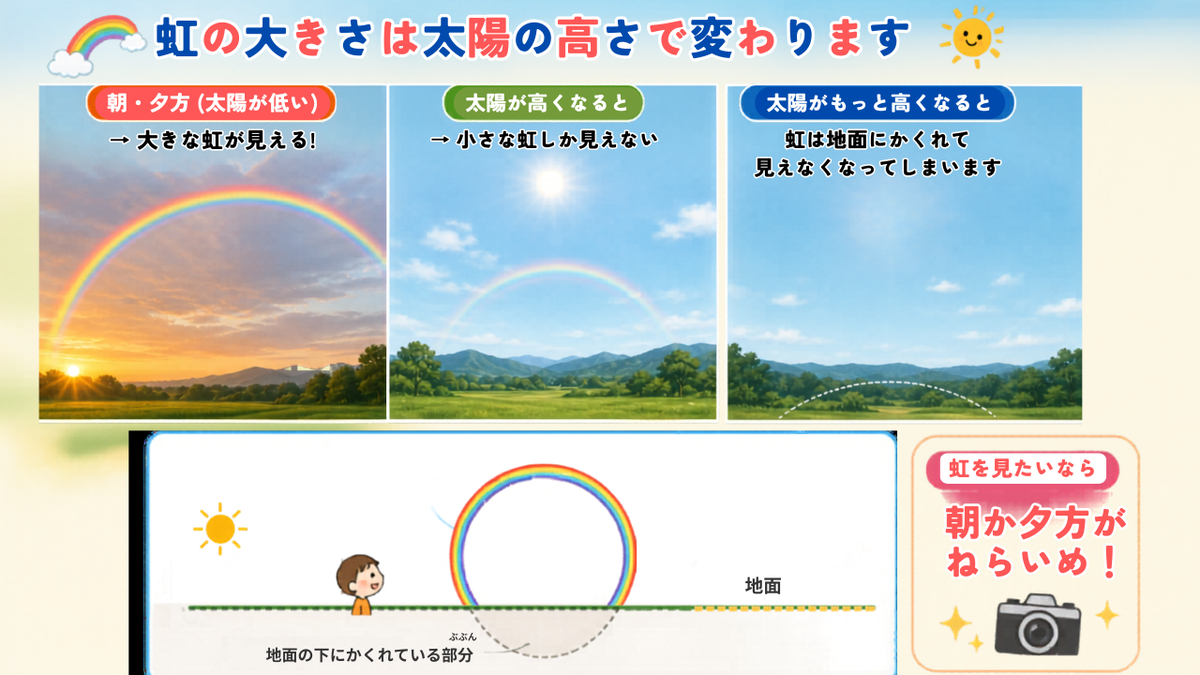 虹の大きさは太陽の高さで変わる。朝夕は大きな虹、太陽が高いと小さな虹になる仕組みの図解