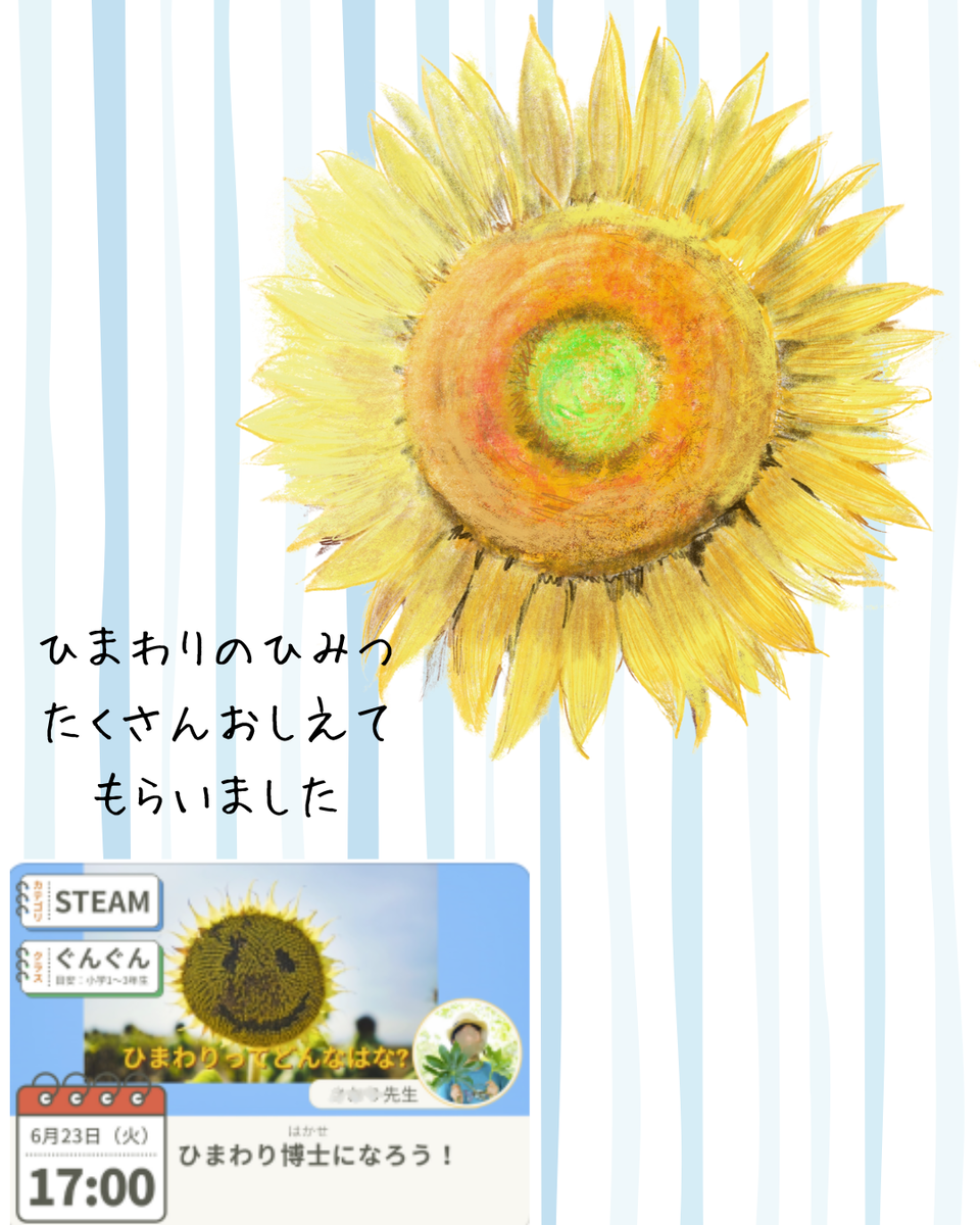 iPad　Procreateでかいたひまわり
