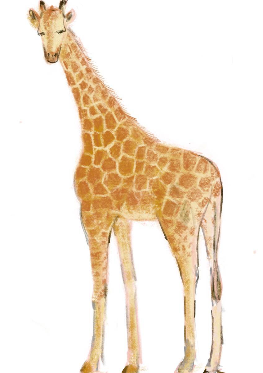 簡単】クレヨンできりんの描き方 網目もようのコツも【子ども・初心者