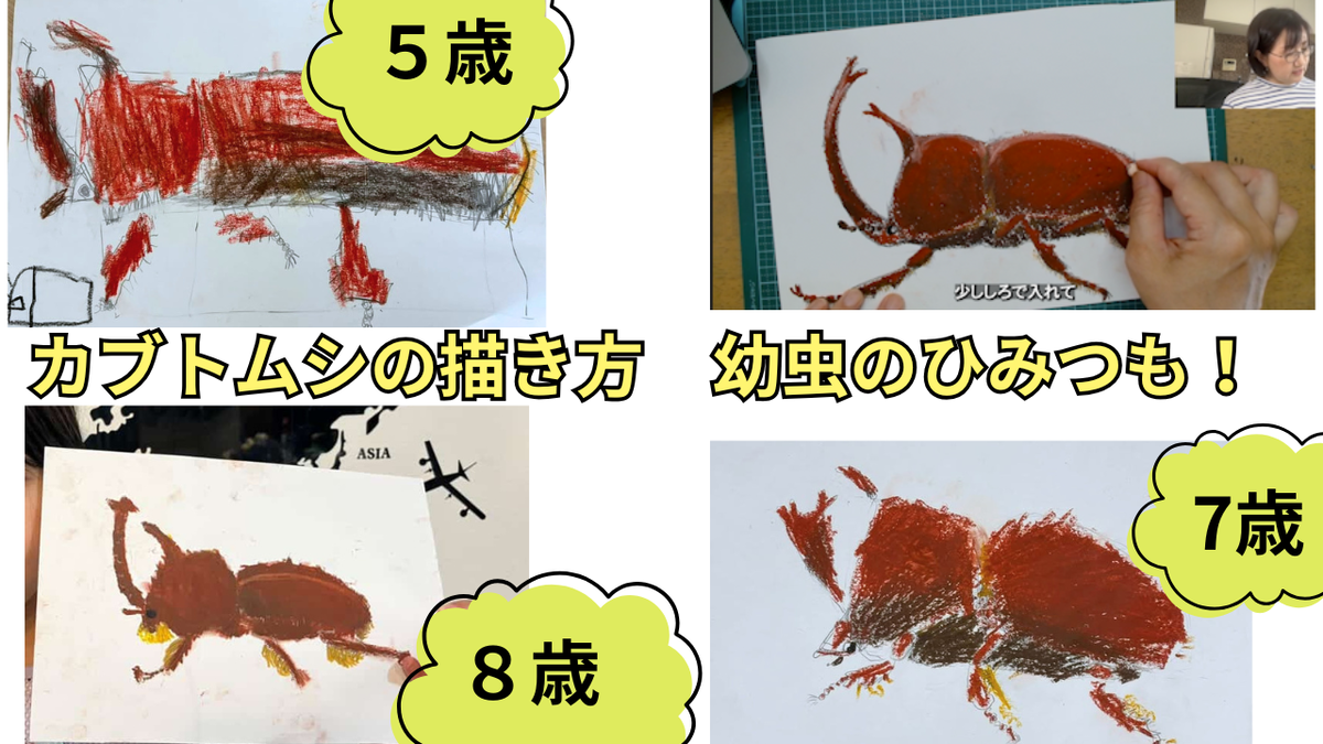 カブトムシの描き方【簡単】クレヨンでリアルに描くコツ｜夏休みの観察