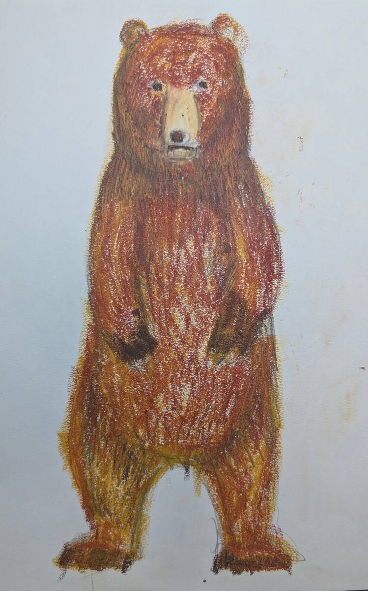 簡単】くまの描き方 ヒグマ・ツキノワグマ 黒っぽいくまも下地でほん
