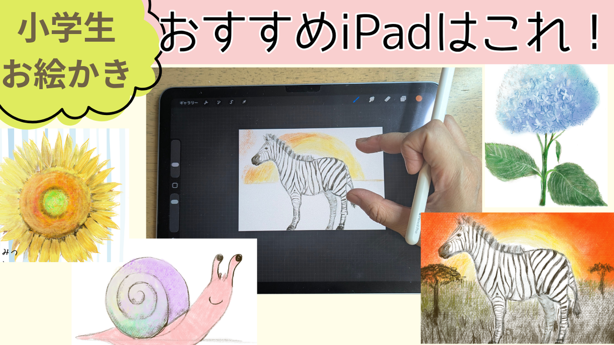 小学生のお絵かきにおすすめのiPad。iPadで描いたシマウマ・ひまわり・あじさい・かたつむりの作品