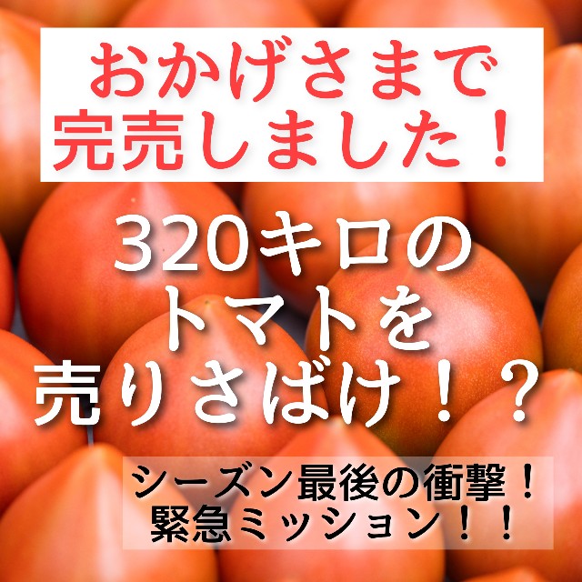 f:id:minority_minorin:20231223130147j:image f:id:minority_minorin:20231223130147j:image