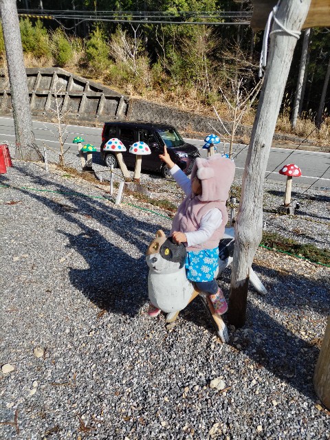 f:id:minority_minorin:20231229130337j:image f:id:minority_minorin:20231229130337j:image