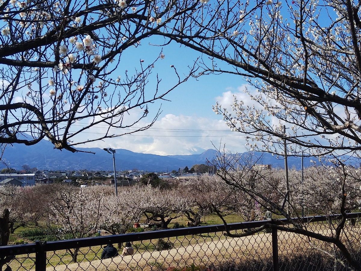 f:id:minoru_sakai2708:20200210195741j:plain