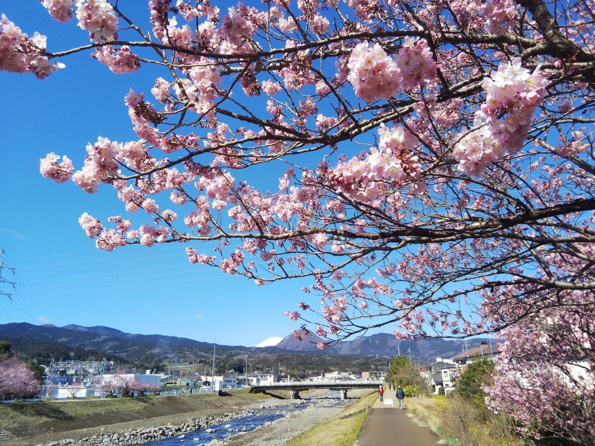 f:id:minoru_sakai2708:20200309100503j:plain