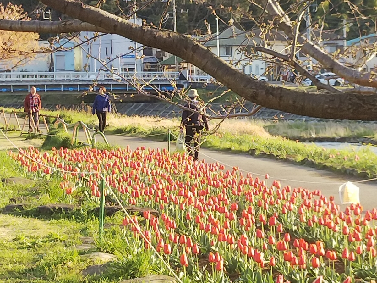 f:id:minoru_sakai2708:20200324170825j:plain