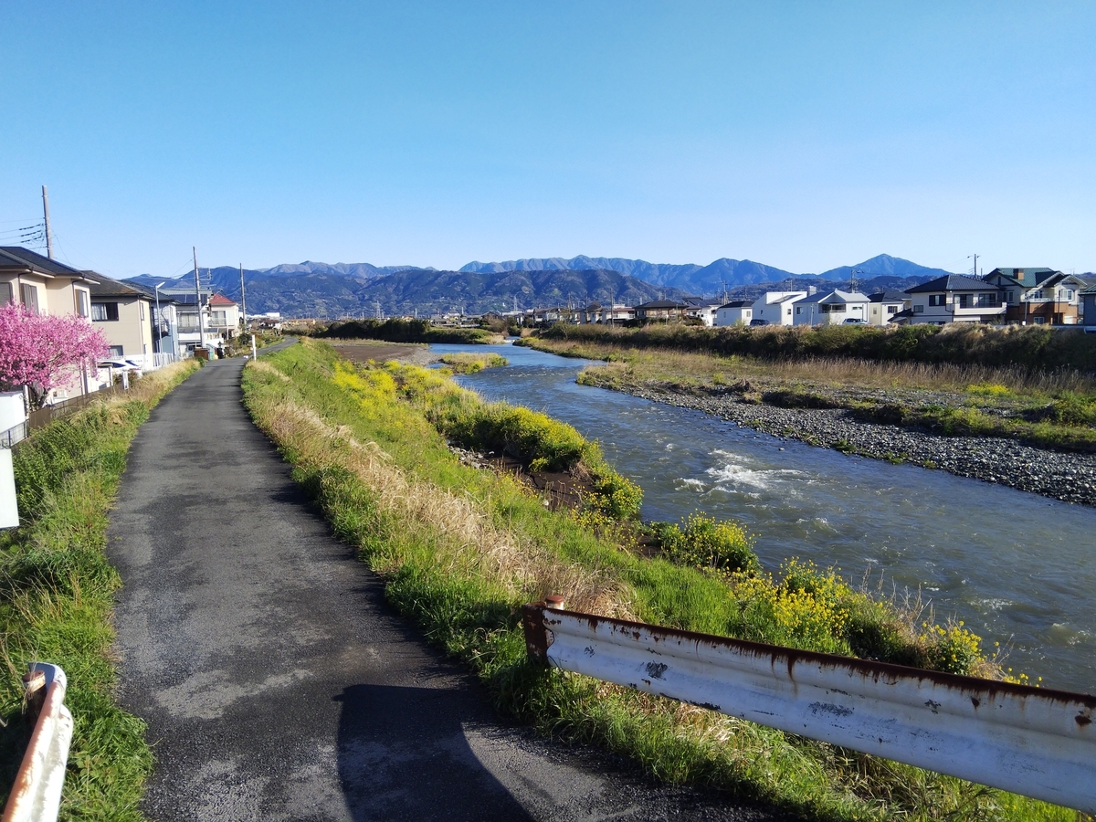 f:id:minoru_sakai2708:20200402091053j:plain