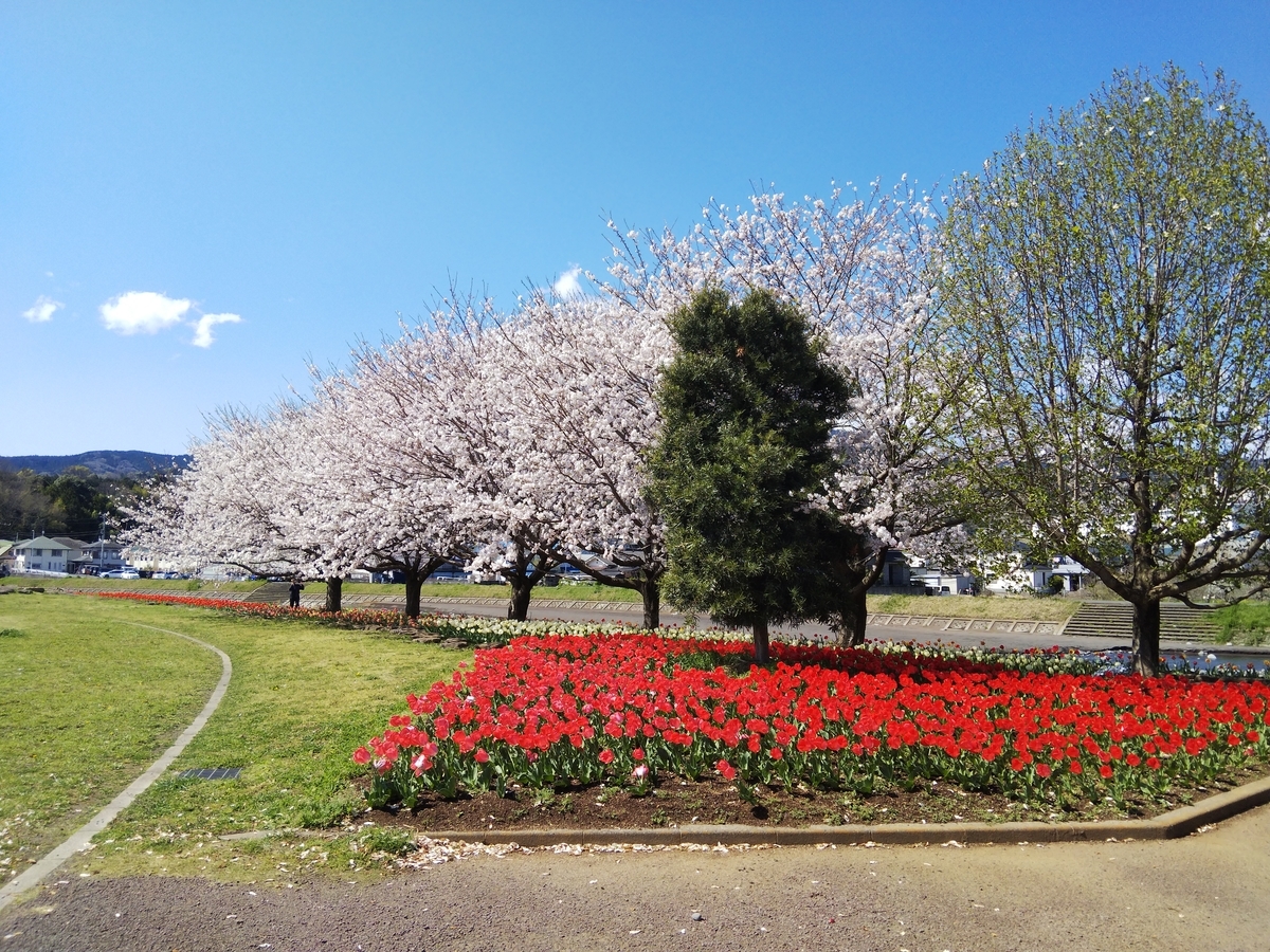 f:id:minoru_sakai2708:20200402151327j:plain