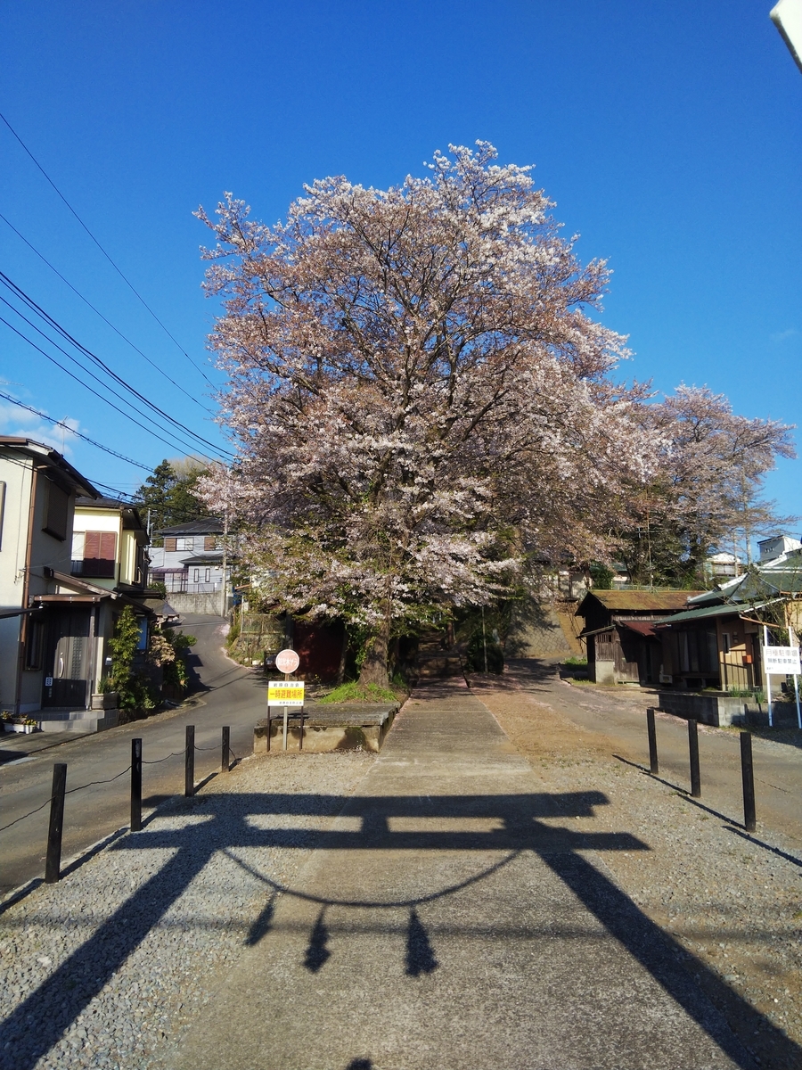 f:id:minoru_sakai2708:20200406091354j:plain