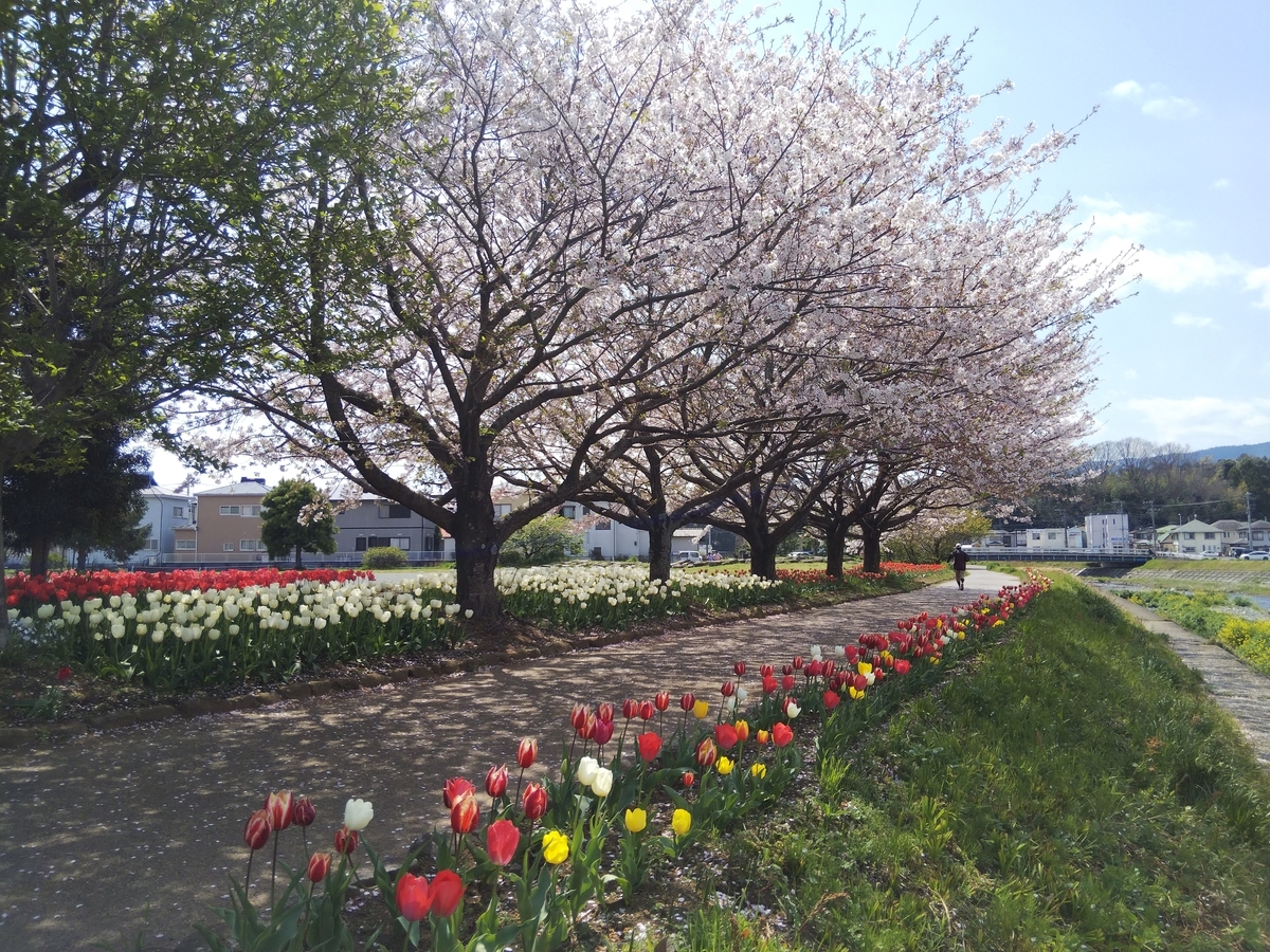 f:id:minoru_sakai2708:20200408090558j:plain