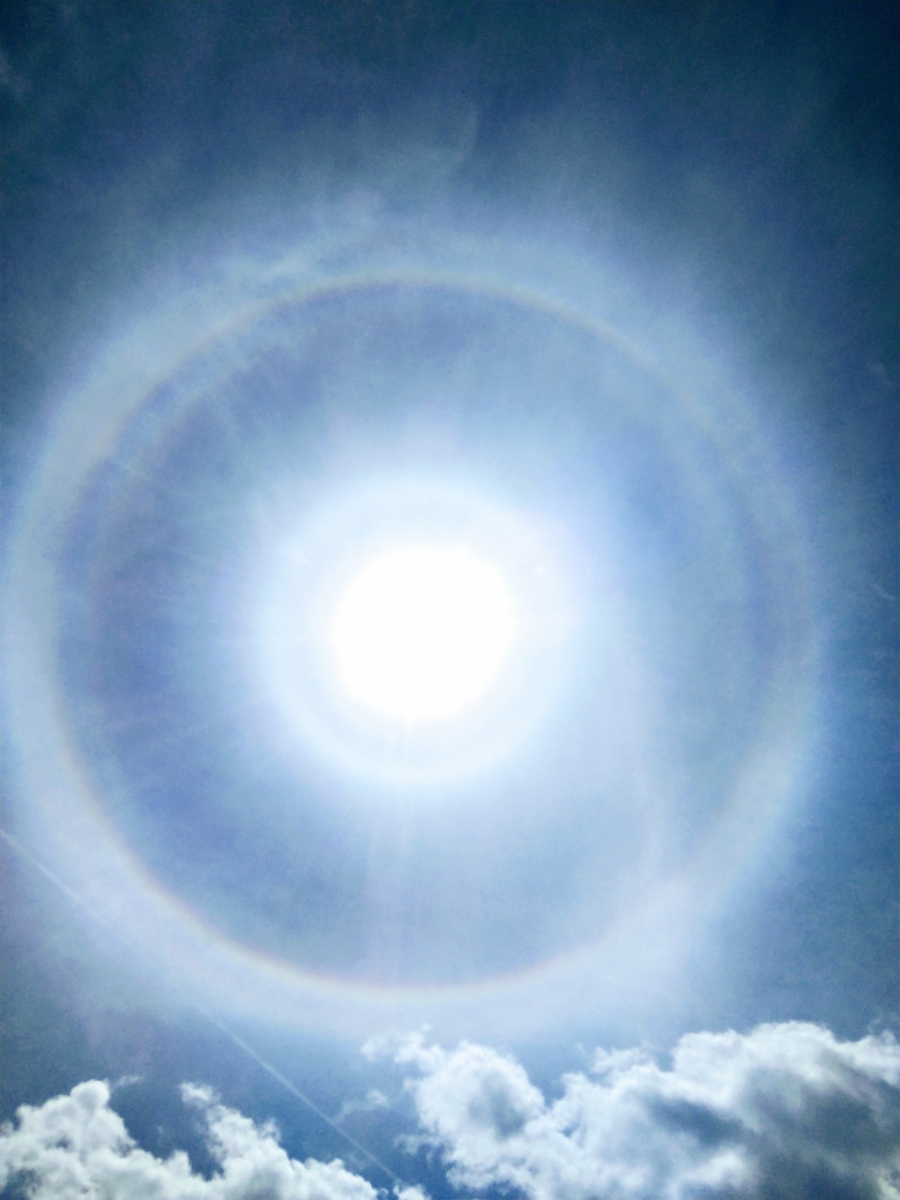 f:id:minoru_sakai2708:20200530164224j:plain