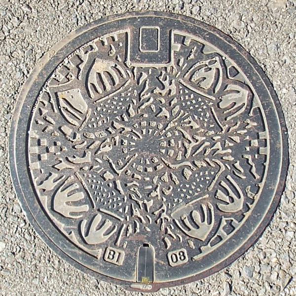 f:id:minoru_sakai2708:20200608160030j:plain